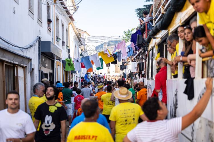 Seculares Festejos em Honra de Nossa Senhora da Salvação