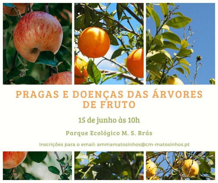 Pragas e Doenças das Árvores de Fruto