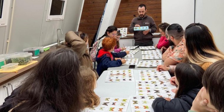 Há Pokémons no Borboletário?