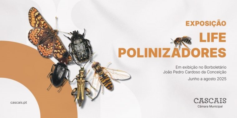 Exposição 'LIFE Polinizadores'