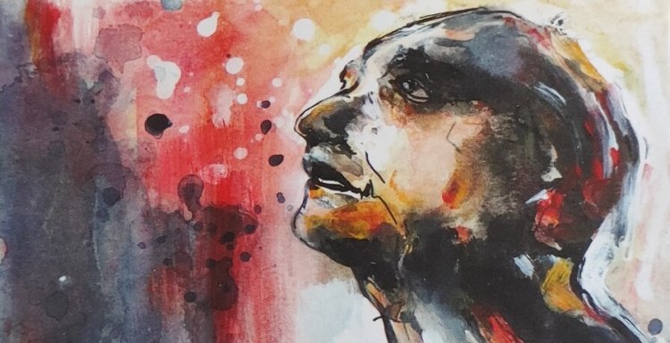 Apresentação do Catálogo 'Metamorfose dos Sonhos' de Felícia de Sousa