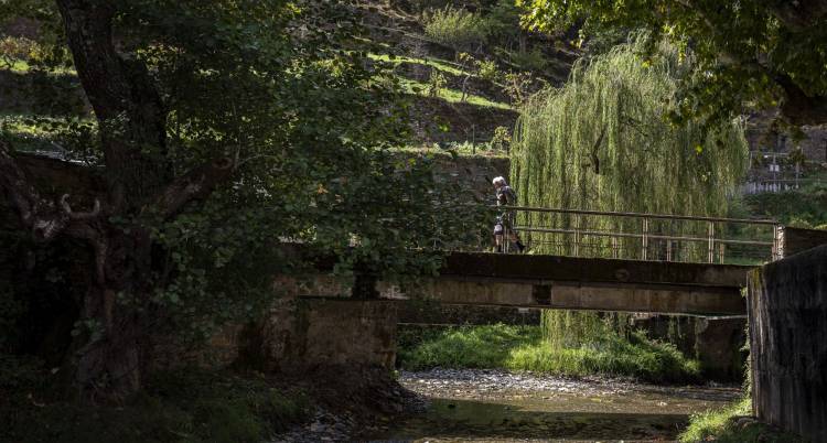 Mostra de Xinema da Benfeita