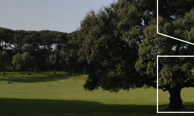 Ritmo - uma experiência sensorial na atividade física, alimentação e bem-estar