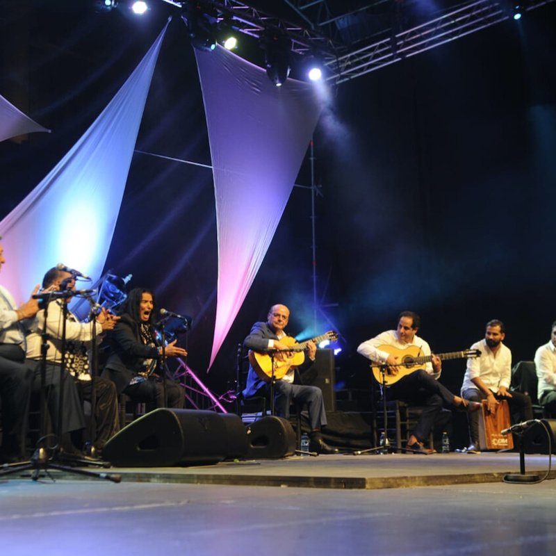 Concierto de flamenco “Familia Vargas”