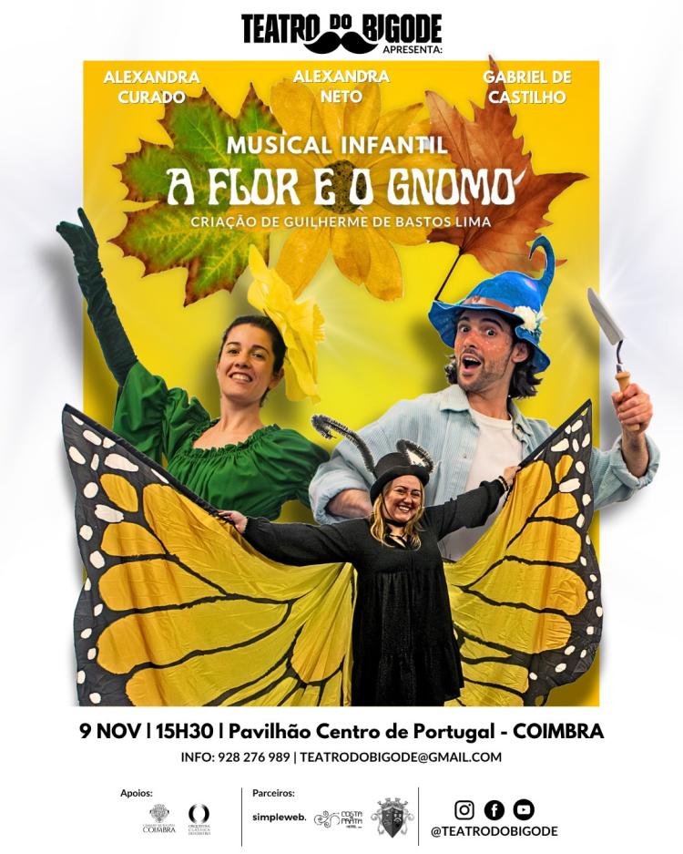 A Flor e o Gnomo - O Musical