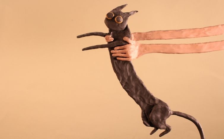 Sessão de curtas-metragens