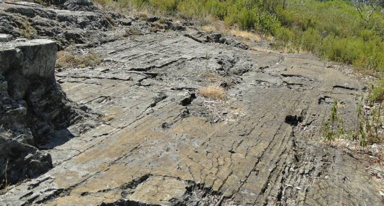 Viagem à Pré-História