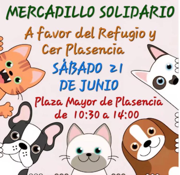 Mercadillo Solidario