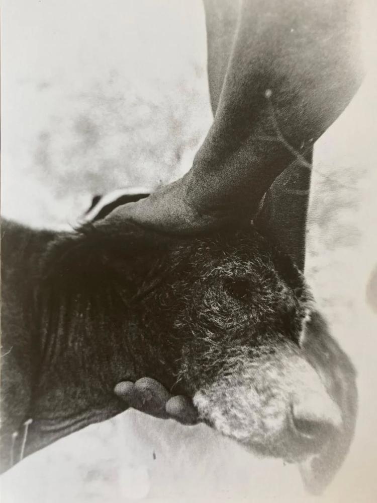 Concertos do Chão#6 | Soledad Zarka & Loup Uberto | Van Der