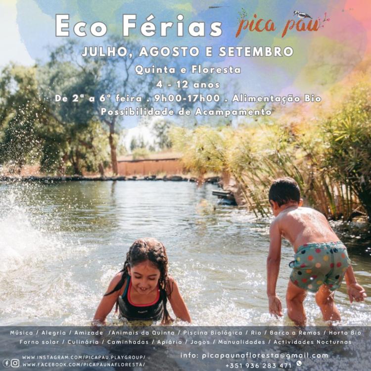 Eco Férias Pica Pau