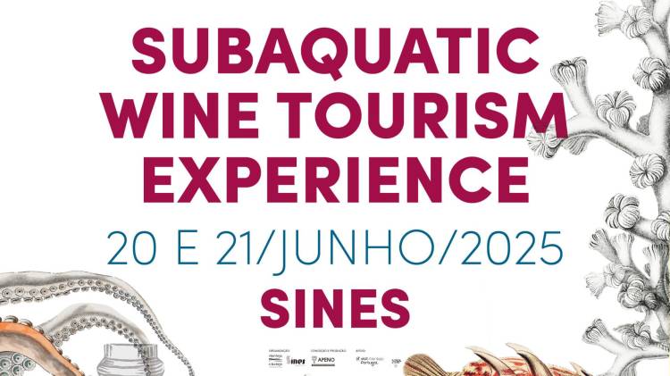 Subaquatic Wine Tourism Experience - Sines 