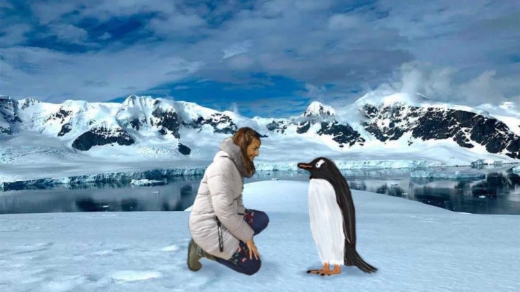 LA PINGÜINA VIAJERA – LA FORNAL D´ESPECTACLES
