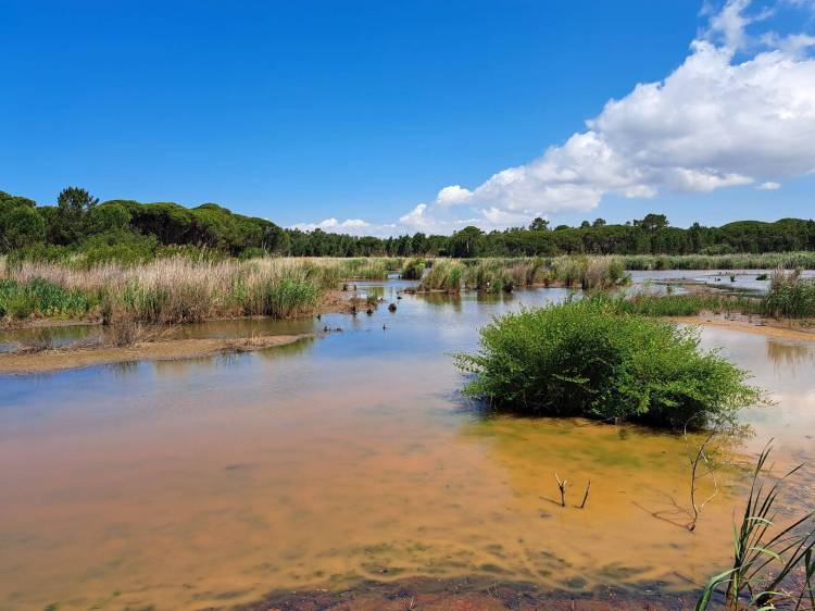 Caminhando à Descoberta das 3 Lagoas