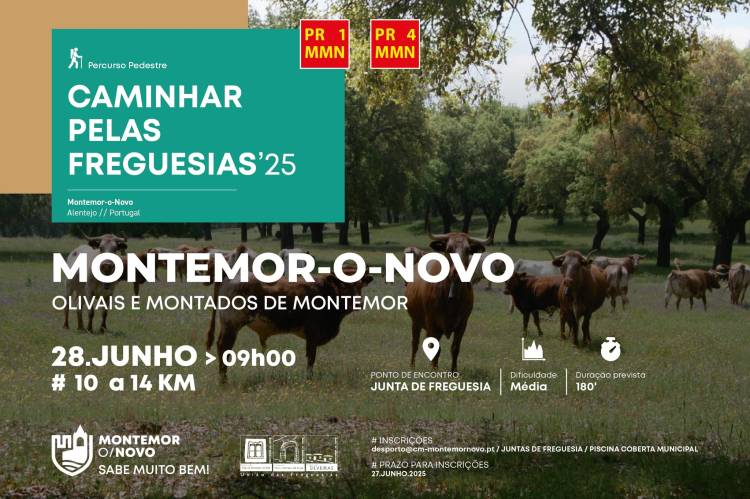 CAMINHAR PELAS FREGUESIAS '25: MONTEMOR-O-NOVO