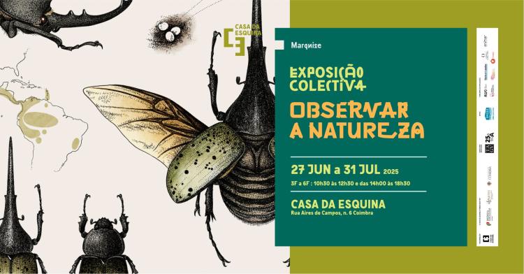 Marquise Observar a natureza | Coletiva