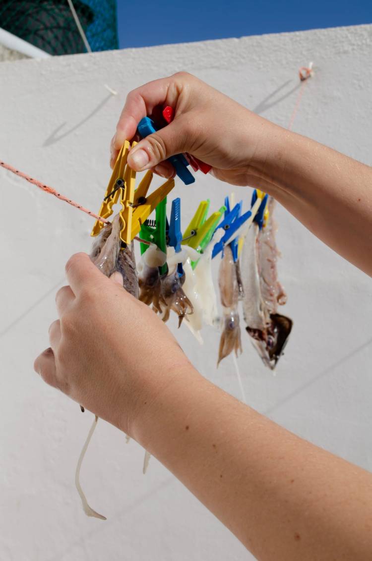 Workshop Peixinhos na Horta!
