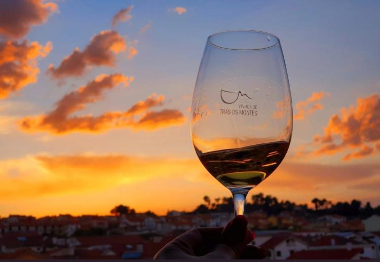 Trás-os-Montes em Prova