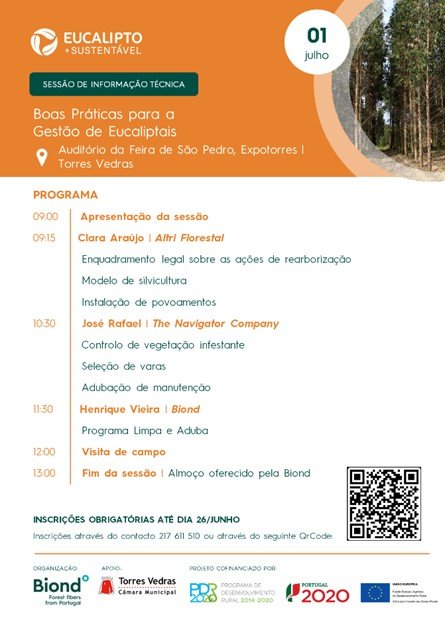 Boas Práticas para a Gestão de Eucaliptais