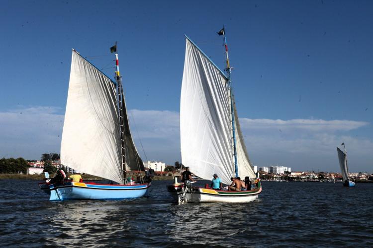 XXI Cruzeiro/Regata Moita-Vila Franca de Xira