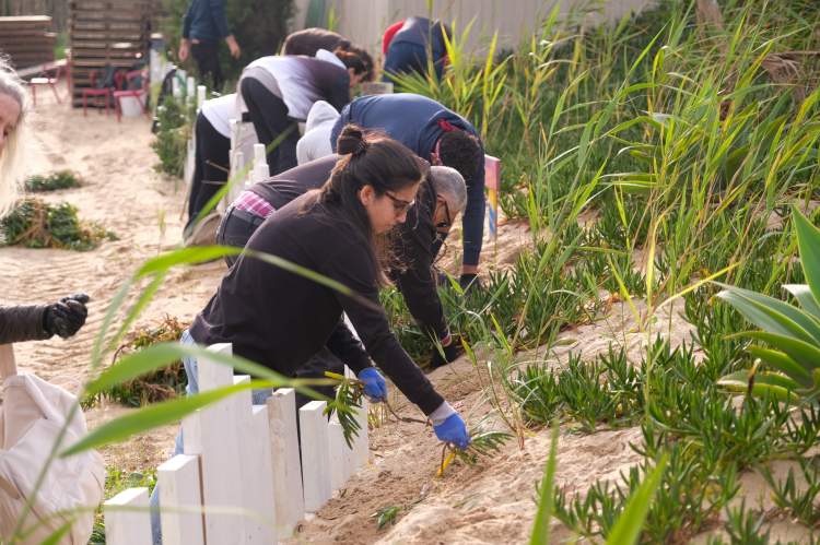 Voluntariado Ambiental Projeto Reduna - São João da Caparica
