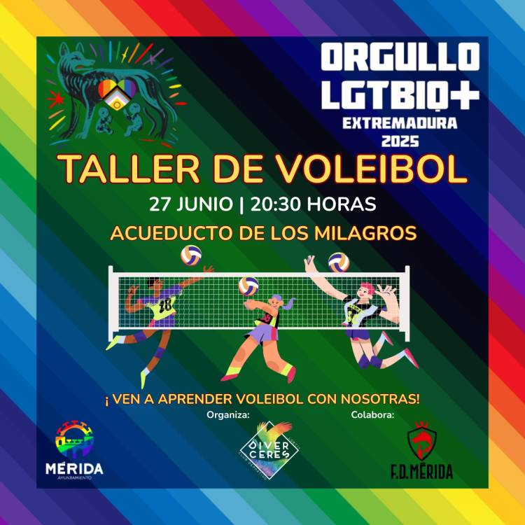 Taller de Voleibol