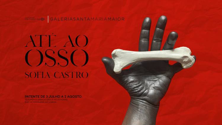 ATÉ AO OSSO | Exposição de Sofia Castro