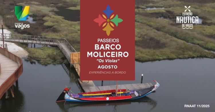 Passeios de Barco Moliceiro 'Os Violas'