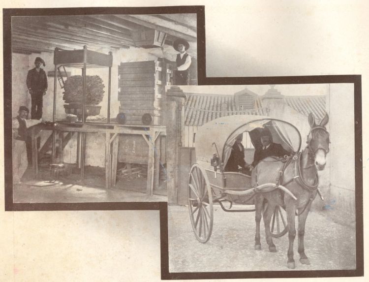 V Curso de História Local