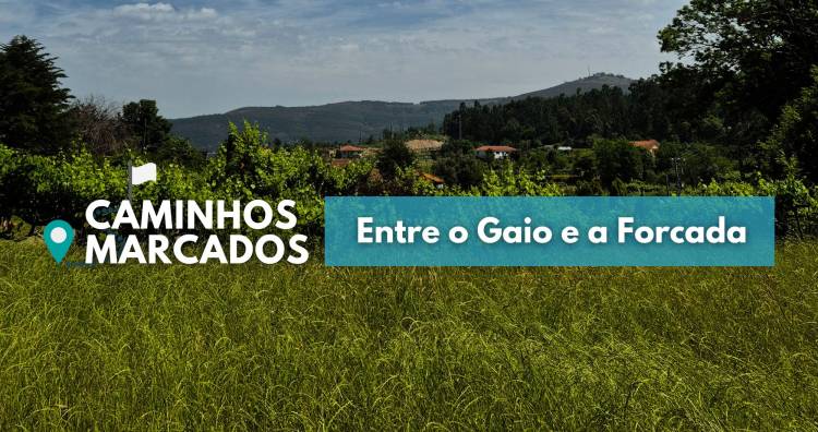 Caminhos Marcados entre o Gaio e a Forcada