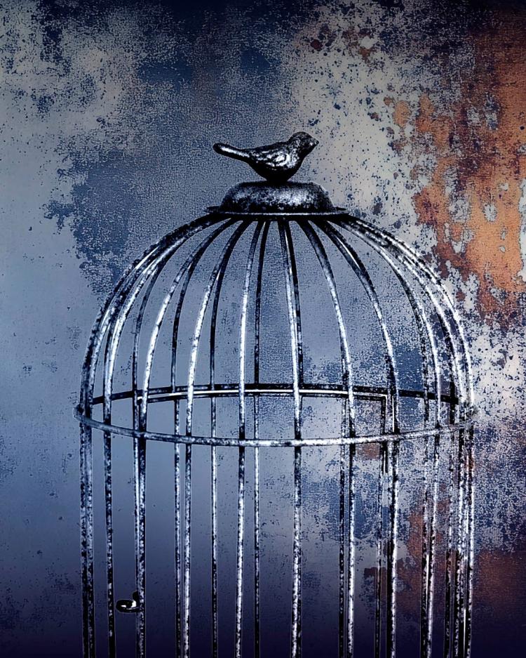 Obra de teatro 'Un gorila en una jaula de pájaros'