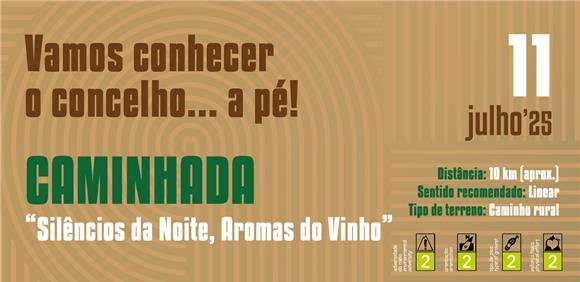 Silêncios da Noite, Aromas do Vinho