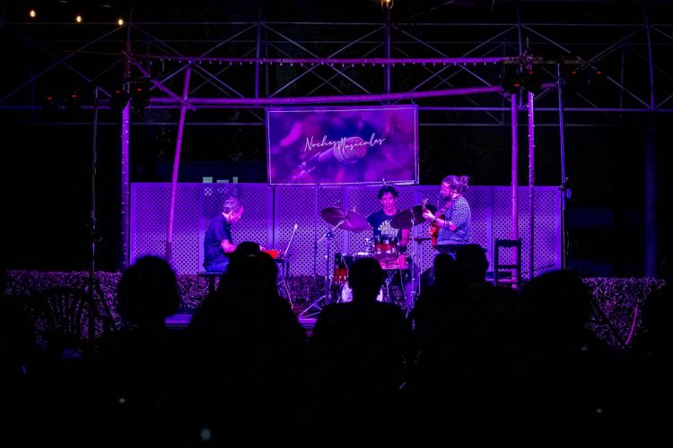 Mandarine Band en concierto