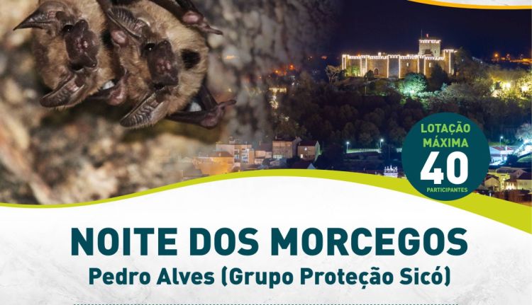 Noite dos morcegos