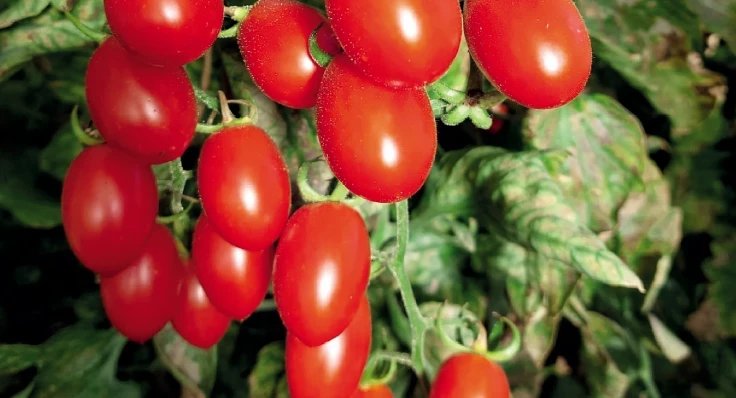 Vivir con fecha de caducidad. - ELA: Amo la vida y los sabores que me regala