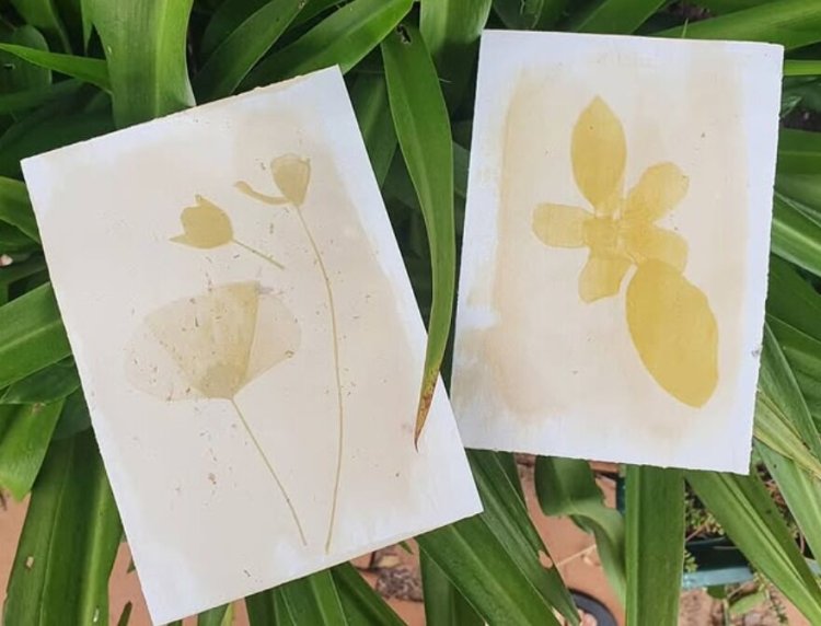 Domingar nos Museus |  Atelier de Antotipia – Fotografia Alternativa