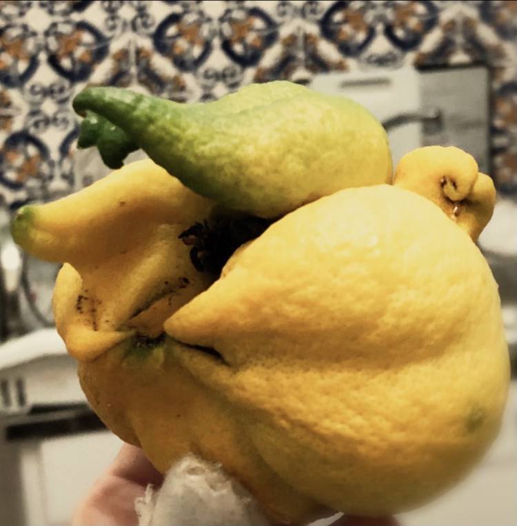 DIA DE PRÁTICAS SAUDÁVEIS