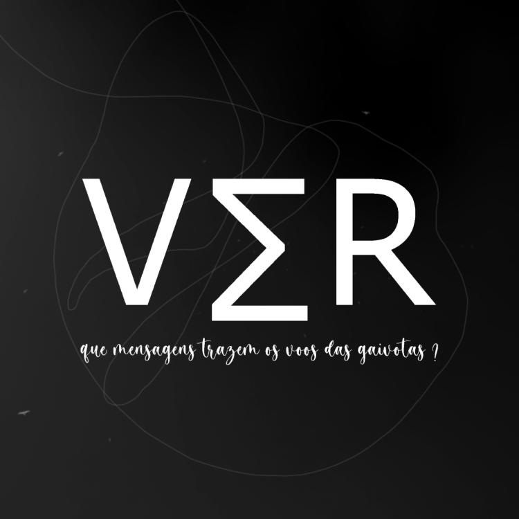 VΣR - Que mensagens trazem os voos das gaivotas?