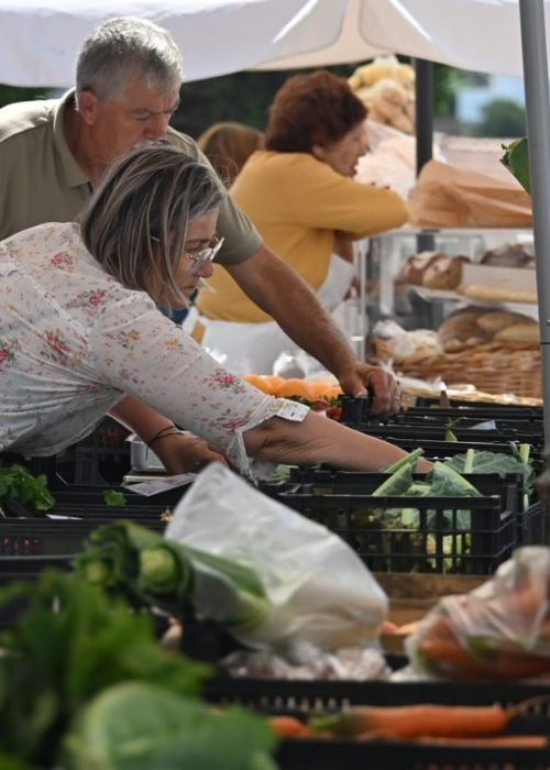 Sabores da Nossa Terra