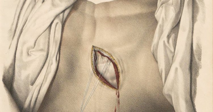 Danças com Vida Própria - Alexandra Balona, Gabriele Brandstetter, Marlene Monteiro Freitas