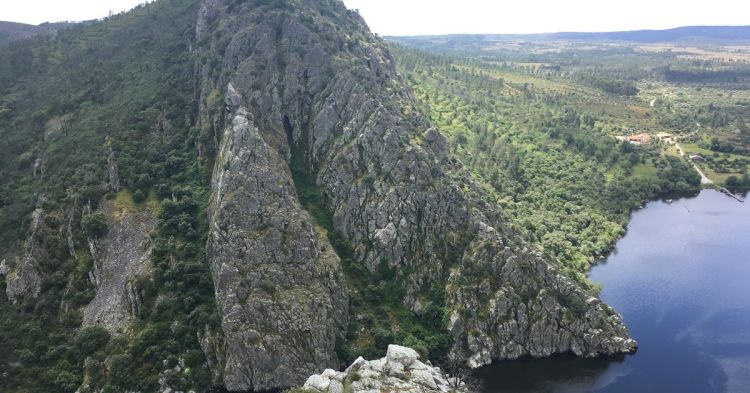 Escuta do Tempo Profundo - Margarida Mendes