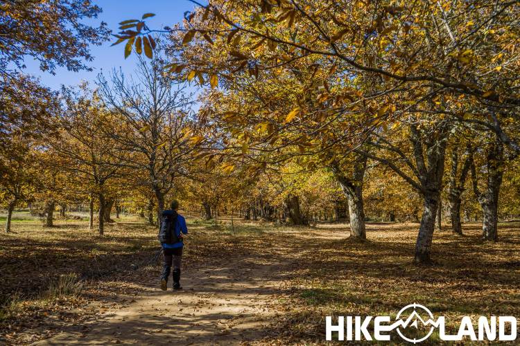 Parque Natural de Montesinho: o Paraíso das Terras Frias Transmontanas