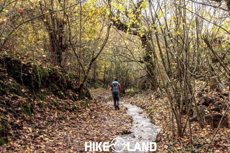 Geoparque de Courel: a Magia Outonal dos Bosques de Montanha da Galiza