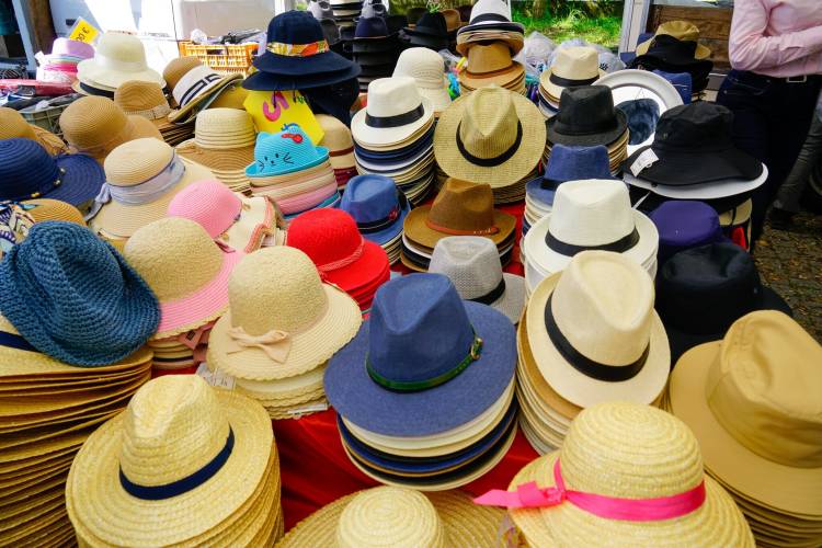 Feira Quinzenal de Esposende