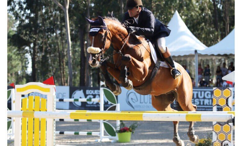 Late Summer Equestrian Festival
