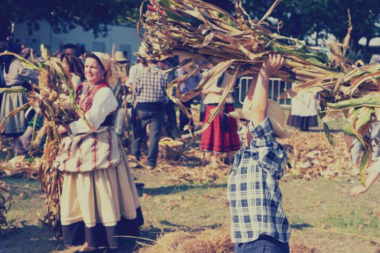 Desfolhada à Moda Antiga