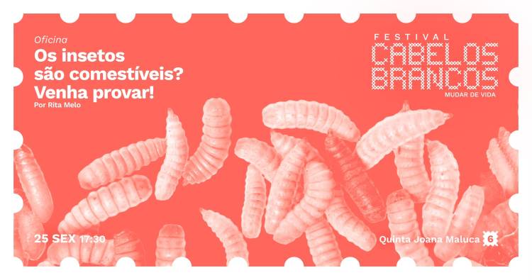 Os insetos são comestíveis? Venha provar! | Oficina 