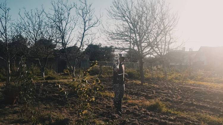 Encontro dos Cuidadores do Jardim – Vamos plantar água