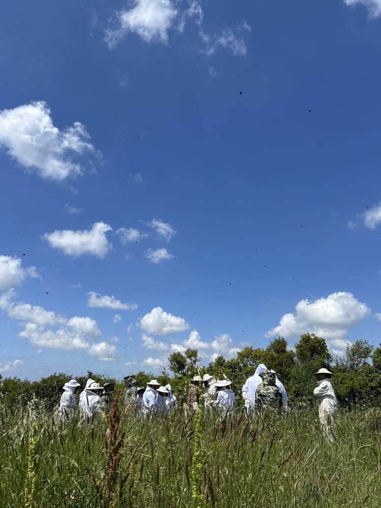 Curso iniciação à Apicultura 
