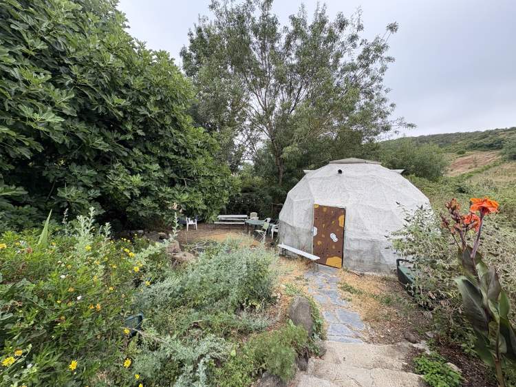 Curso Certificado Design em Permacultura  | Permaculture Design Certificate Course