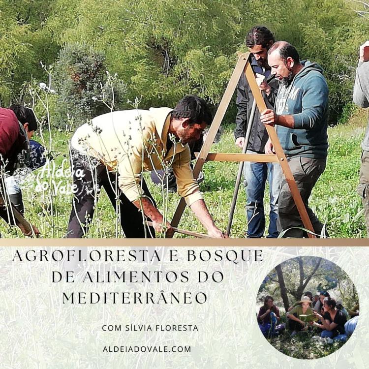 Agrofloresta e Bosque de Alimentos do Mediterrâneo